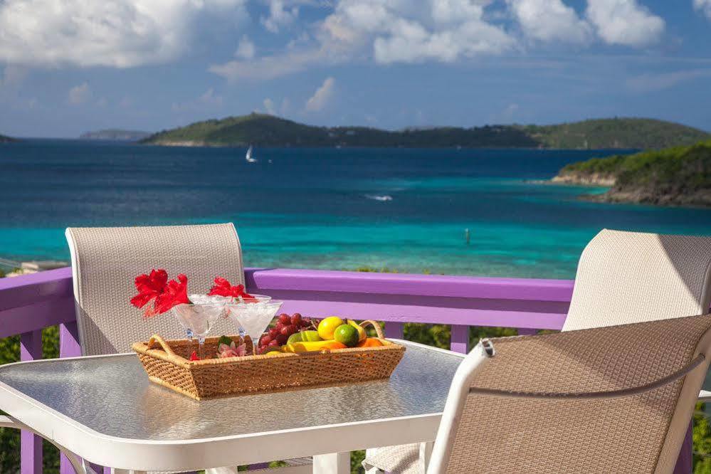 Lavender Hill Suites Cruz Bay Zewnętrze zdjęcie