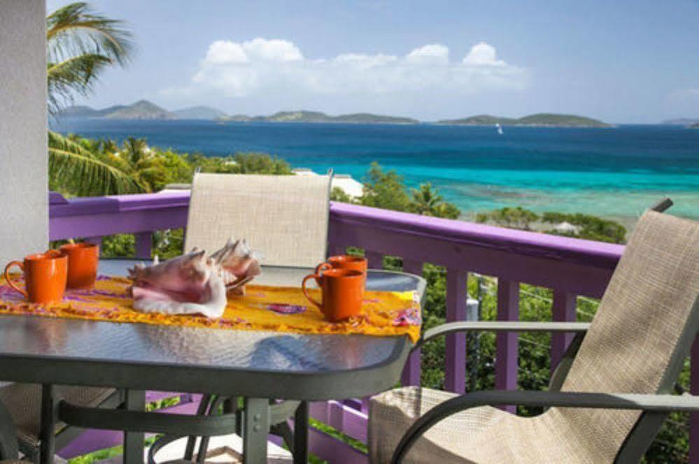 Lavender Hill Suites Cruz Bay Zewnętrze zdjęcie